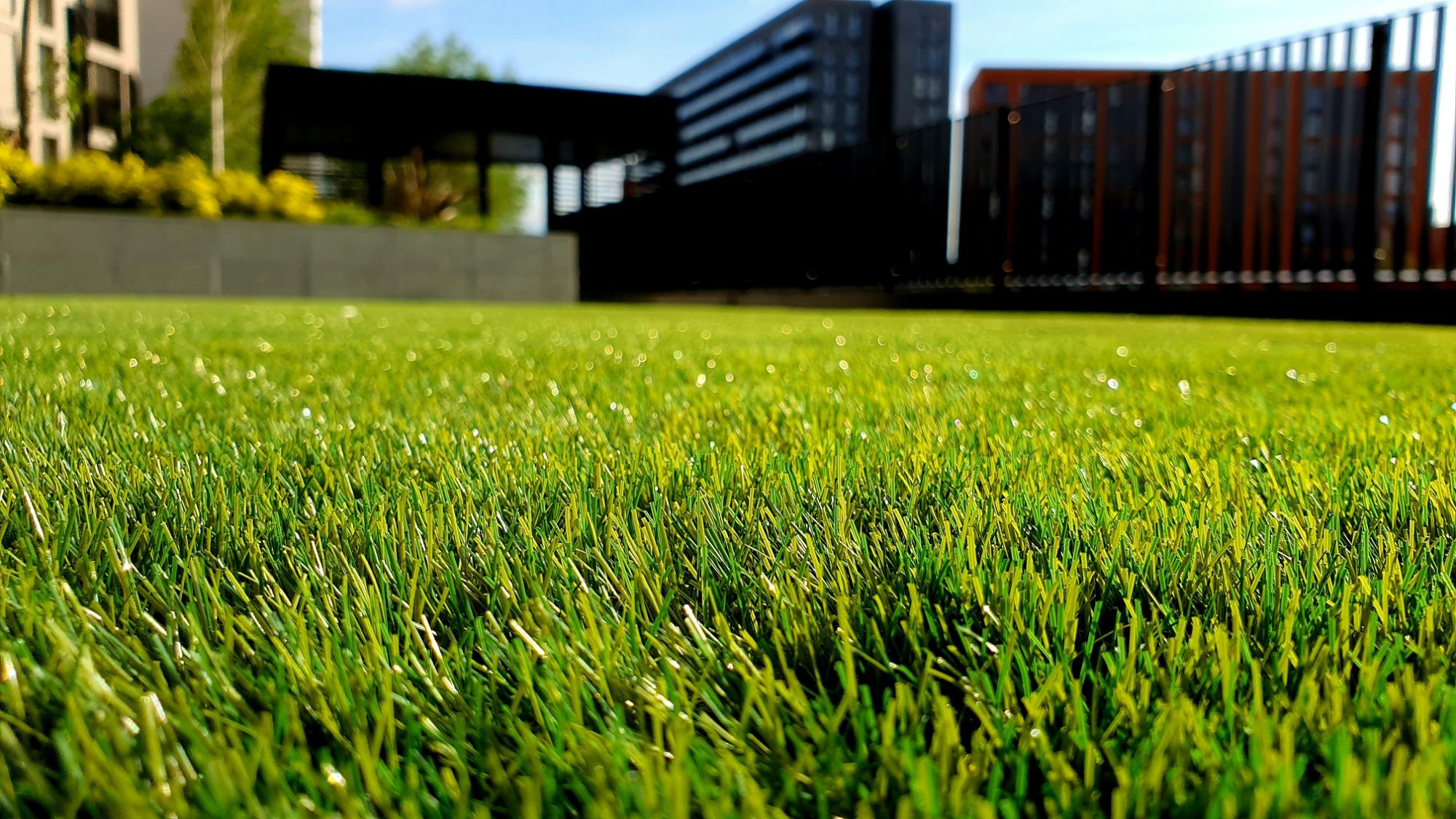A freshly mowed, lush green lawn